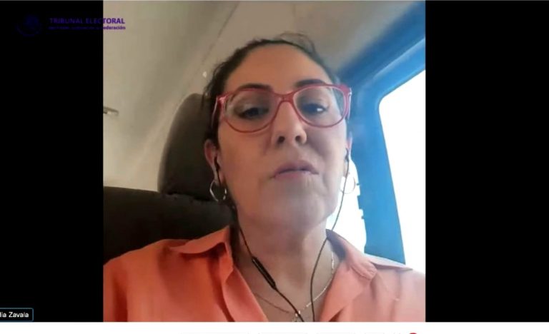 Claudia Zavala Pérez, Consejera Electoral del INE.