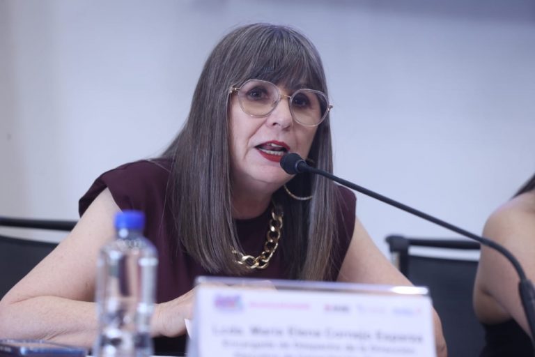 María Elena Cornejo Esparza, Encargada del despacho de la Dirección Ejecutiva Capacitación Electoral y Educación Cívica.