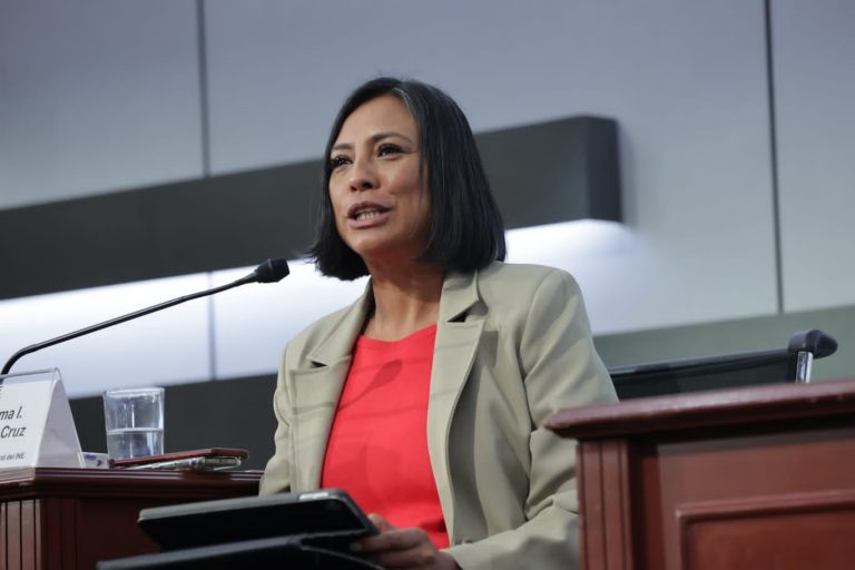 Norma Irene De La Cruz Magaña, Consejera Electoral del INE.