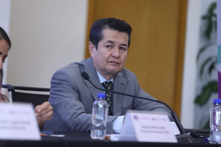 Francisco Morales Camarena, Director de Educación Cívica y Participación Ciudadana.