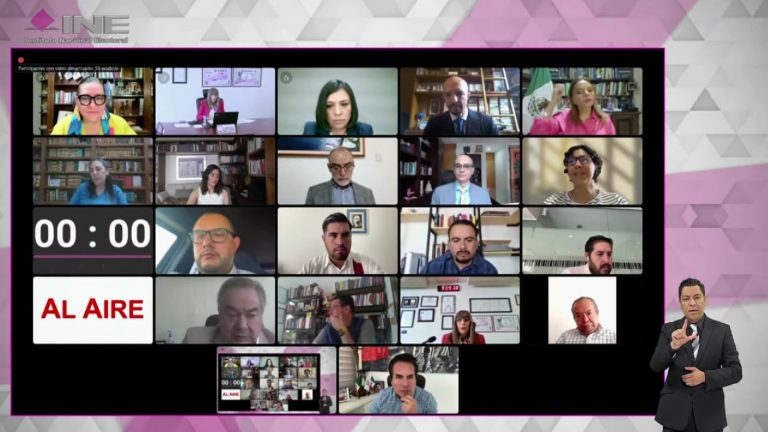 Sesión Extraordinaria virtual del Consejo General del INE.