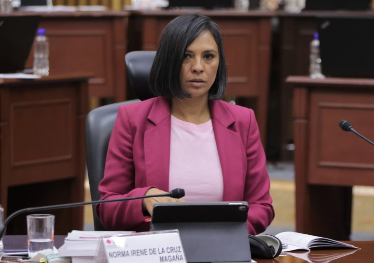 Norma Irene De La Cruz Magaña, Consejera Electoral.