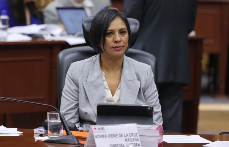 Norma Irene de la Cruz Magaña, Consejera Electoral.