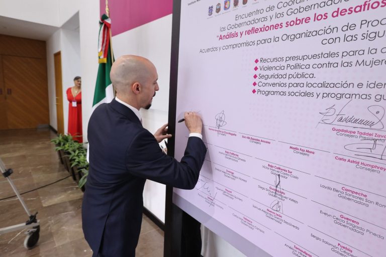 Arturo Castillo Loza, Consejero Electoral.