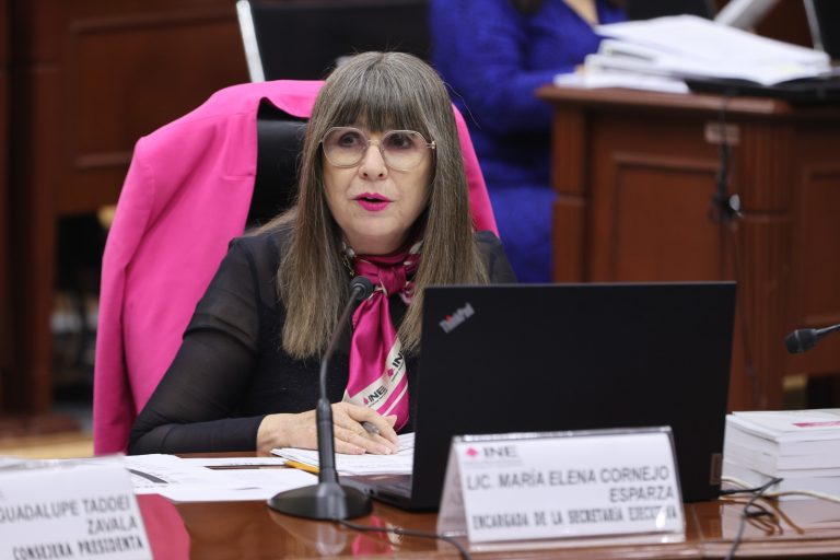 María Elena Cornejo Esparza, Encargada del despacho de la Secretaría Ejecutiva.