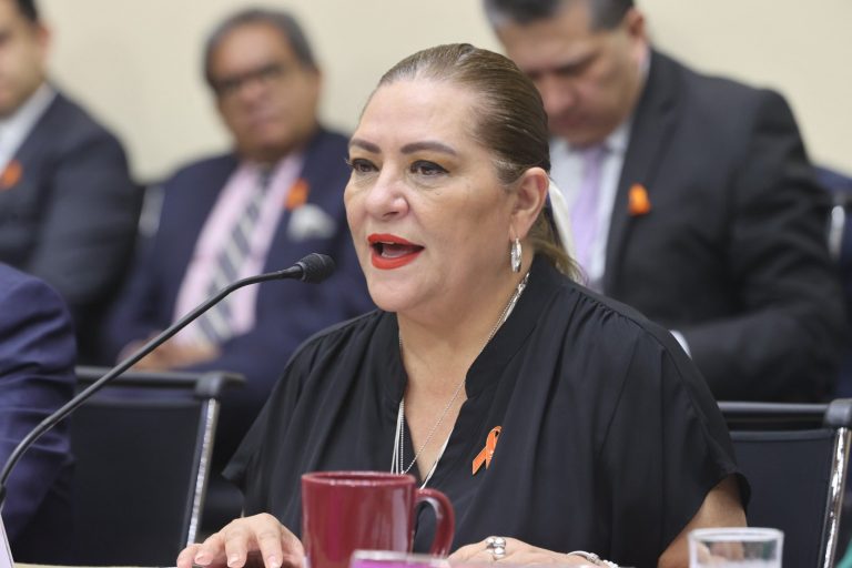 Guadalupe Taddei Zavala, Consejera Presidenta.