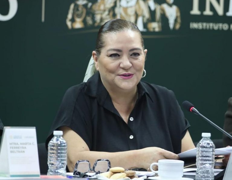 Guadalupe Taddei Zavala, Consejera Presidenta del INE.