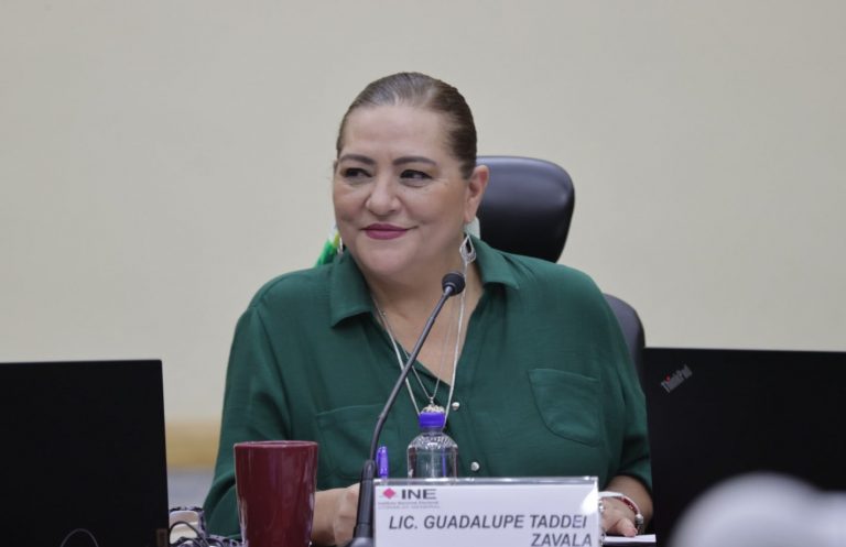 Guadalupe Taddei Zavala, Consejera Presidenta