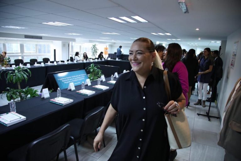 Guadalupe Taddei Zavala, Consejera Presidenta del INE.