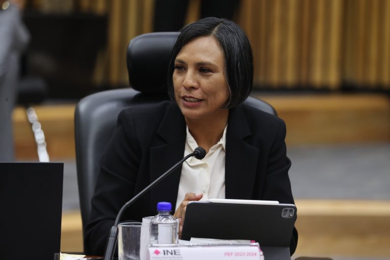 Norma Irene De La Cruz Magaña, Consejera Electoral.