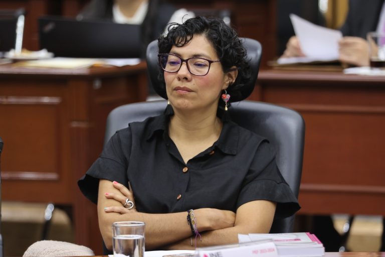 Rita Bell López Vences, Consejera Electoral.