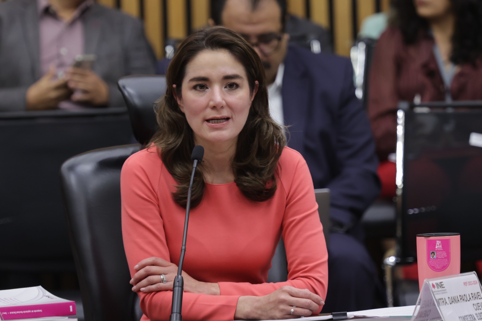 Dania Ravel Cuevas, Consejera Electoral