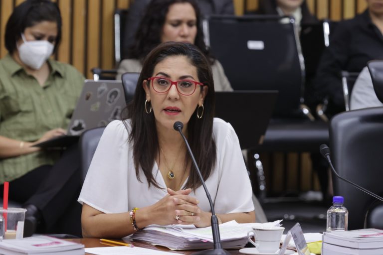 Claudia Zavala Pérez, Consejera Electoral .