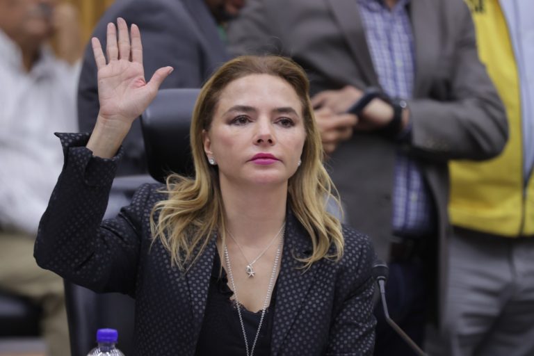 Carla Humphrey Jordan, Consejera Electoral.