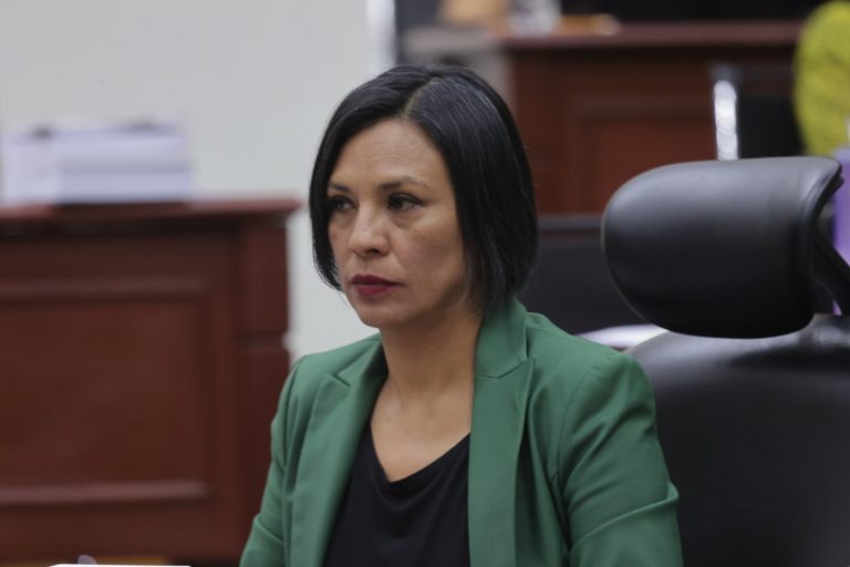 Norma Irene De La Cruz Magaña, Consejera Electoral.