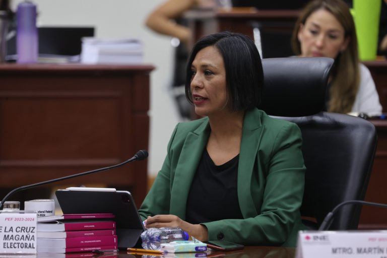 Norma Irene De La Cruz Magaña, Consejera Electoral.