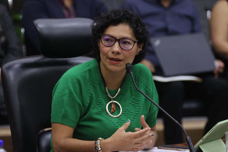 Rita Bell López Vences, Consejera Electoral.