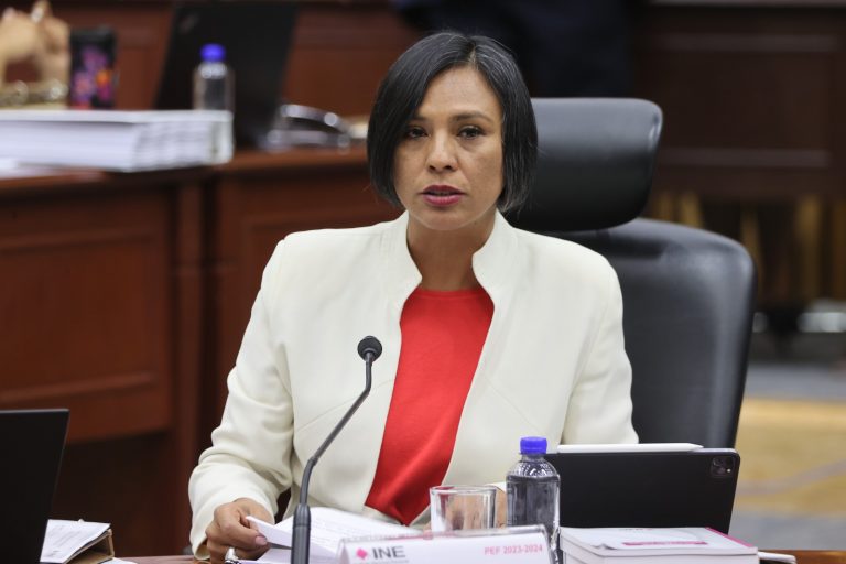 Norma Irene De La Cruz Magaña, Consejera Electoral