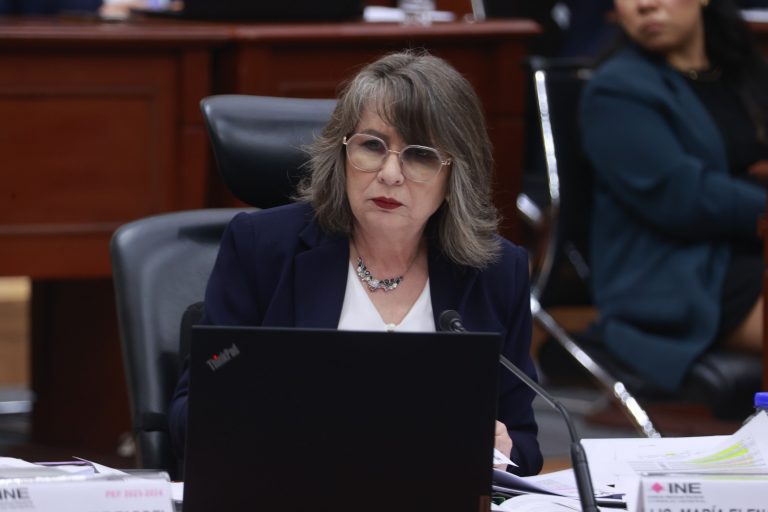 María Elena Cornejo Esparza, Encargada del despacho de la Secretaría Ejecutiva.