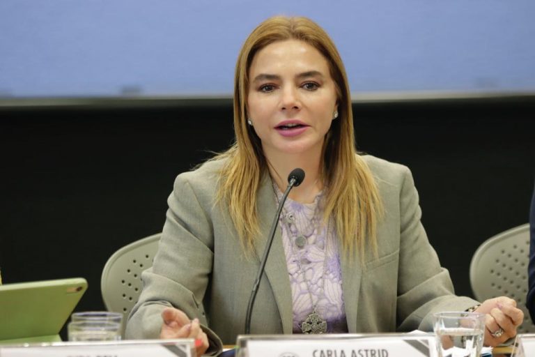 Carla Humphrey Jordan, Consejera Electoral