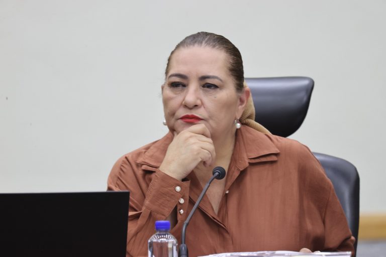 Guadalupe Taddei Zavala, Consejera Presidenta.