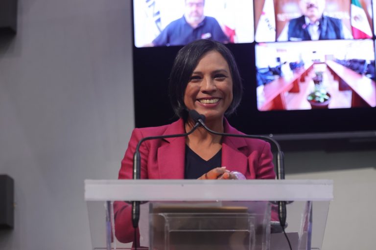 Norma Irene De La Cruz Magaña, Consejera Electoral del INE.