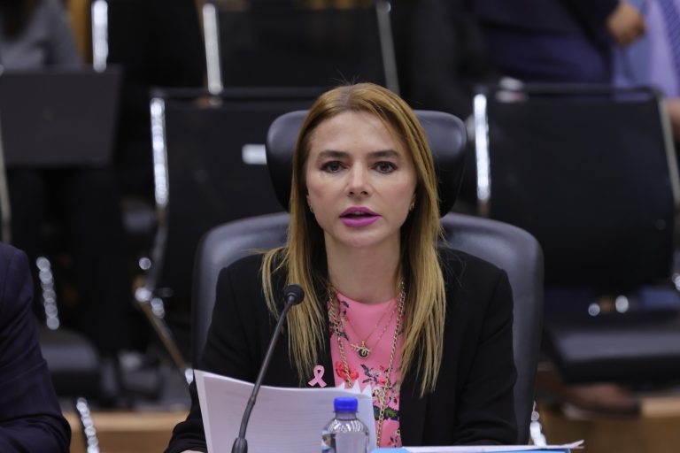 Carla Humphrey Jordan, Consejera Electoral.