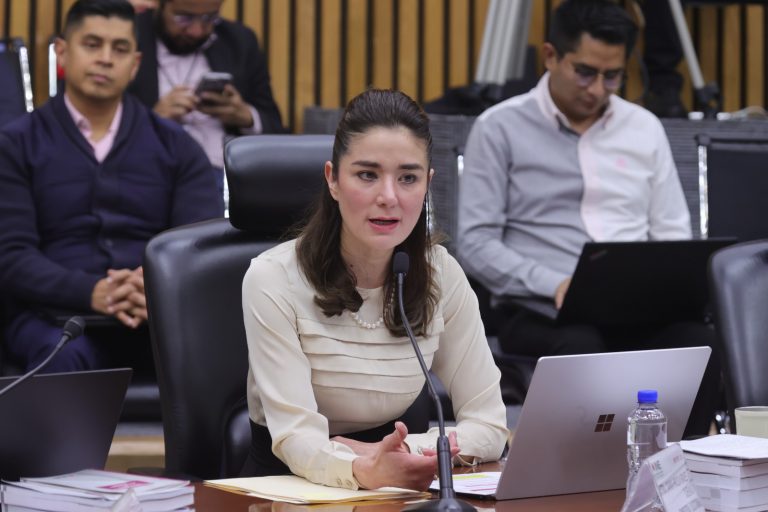 Dania Ravel Cuevas, Consejera Electoral.