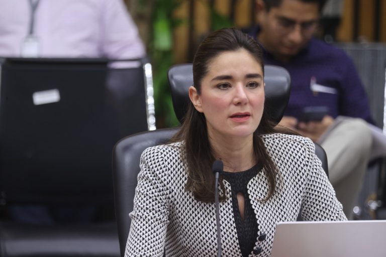 Dania Ravel Cuevas, Consejera Electoral.