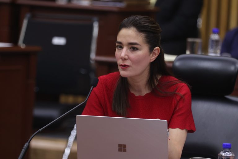 Dania Ravel Cuevas, Consejera Electoral.