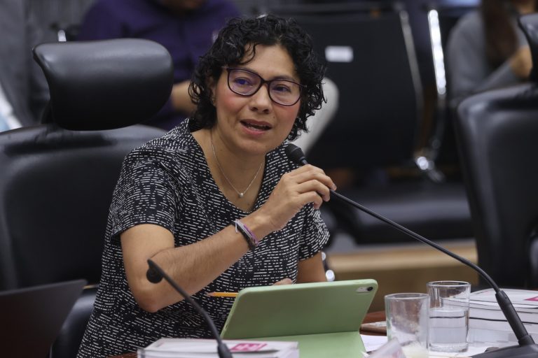 Rita  Bell López Vences, Consejera Electoral.