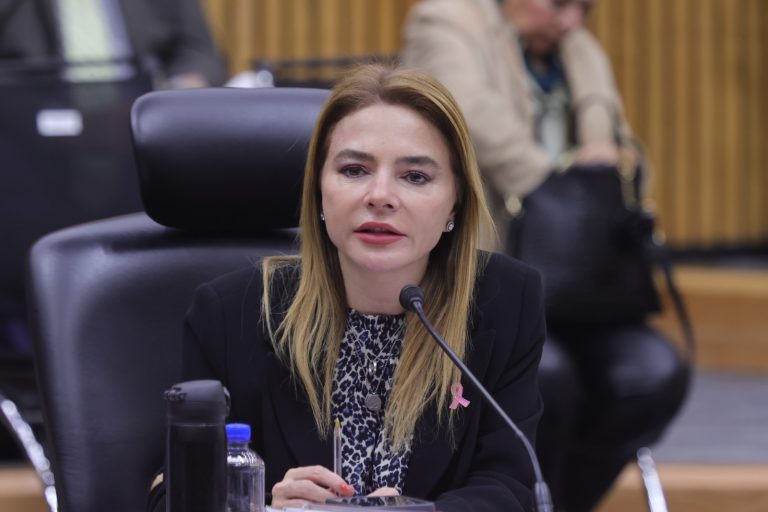 Carla Humphrey Jordan, Consejera Electoral.