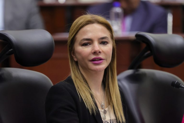 Carla Humphrey Jordan, Consejera Electoral