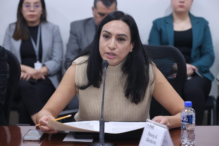 Fanny A. Garduño Néstor, Encargada del Despacho de la Unidad Técnica de Transparencia y Protección de Datos Personales.