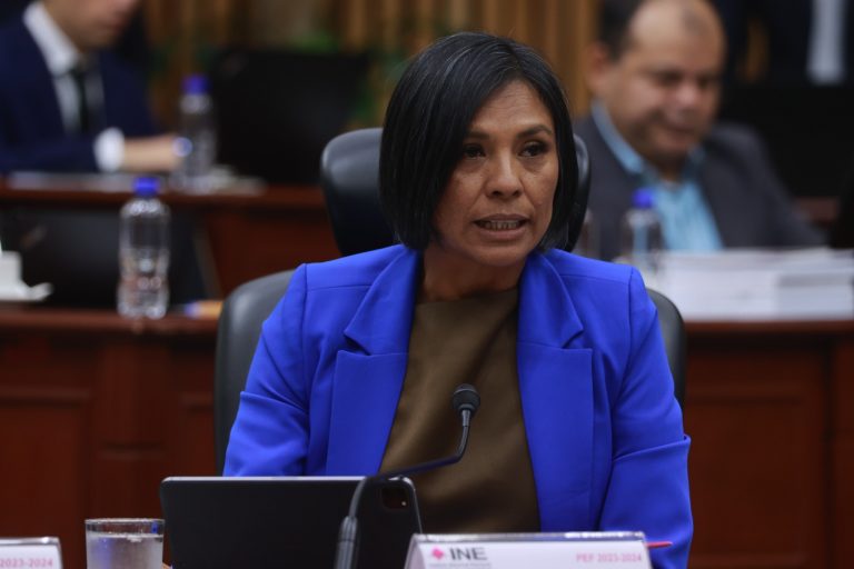 Norma Irene De la Cruz Magaña, Consejera Electoral.