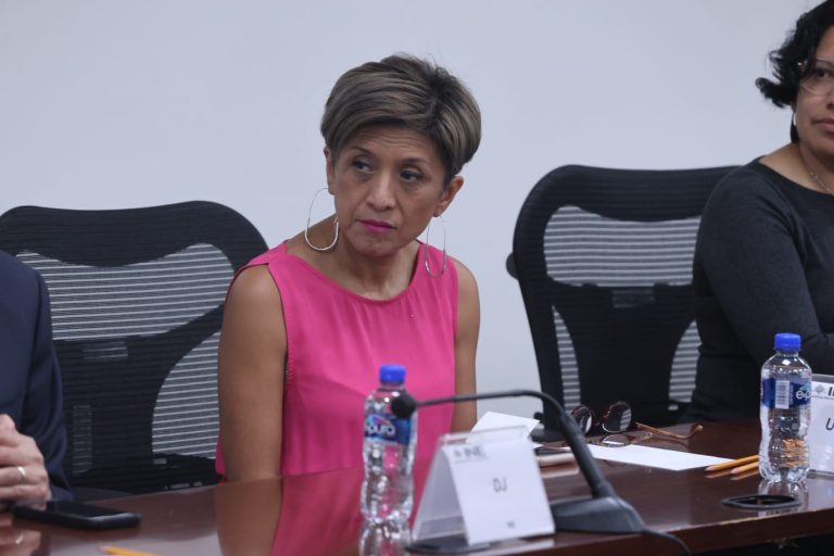 Flor Dessire León Hernández, Directora de la Unidad Técnica de Igualdad de Género y No Discriminación del INE