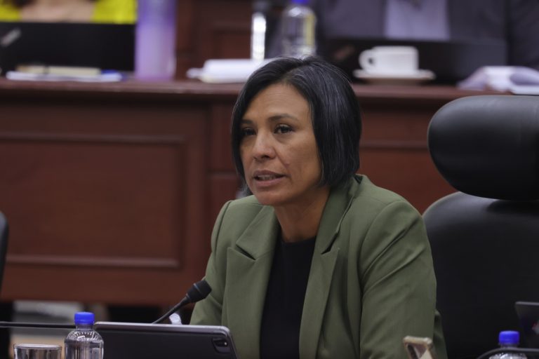 Norma Irene de la Cruz Magaña, Consejero Electoral.