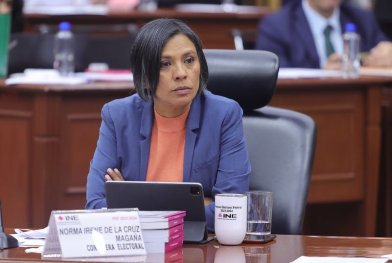 Norma Irene De La Cruz Magaña, Consejera Electoral.