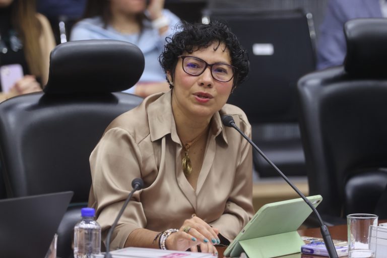 Rita Bell López Vences, Consejera Electoral.