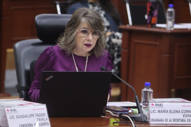 María Elena Cornejo Esparza, Encargada del despacho de la Secretaría Ejecutiva