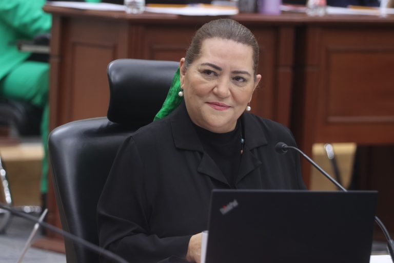 Guadalupe Taddei Zavala, Consejera Presidenta.