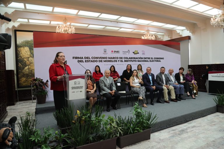 Guadalupe Taddei Zavala Consejera Presidenta del INE.