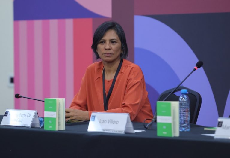 Norma Irene De La Cruz Magaña, Consejera Electoral del INE.