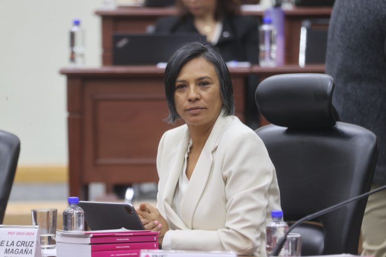 Norma Irene De La Cruz Magaña, Consejera Electoral.