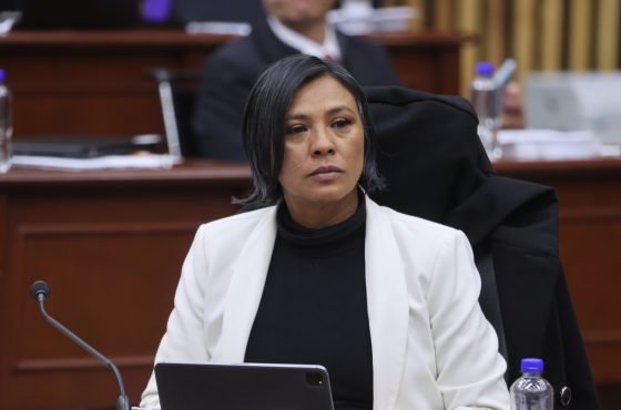 Norma Irene De La Cruz Magaña, Consejera Electoral