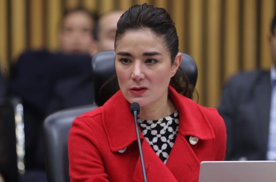 Dania Ravel, Consejera Electoral