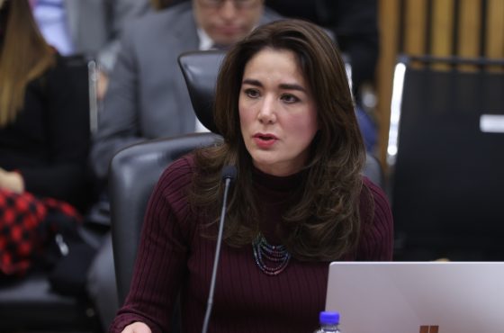 Dania Ravel Cuevas, Consejera Electoral