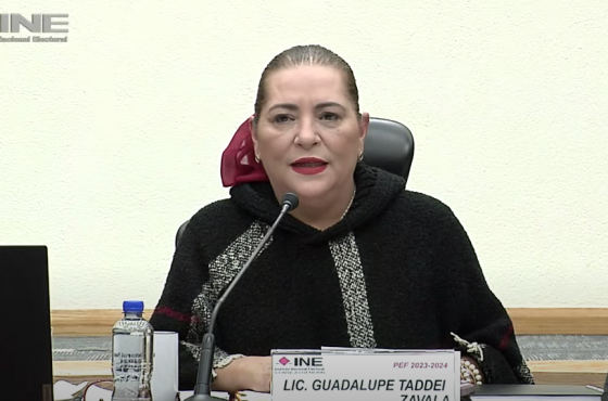Guadalupe Taddei, Consejera Presidenta del INE