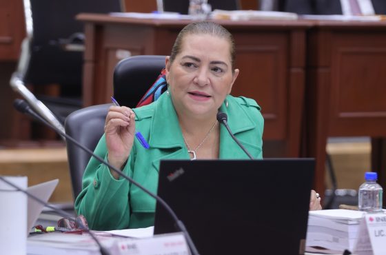 Consejera Presidenta, Guadalupe Taddei