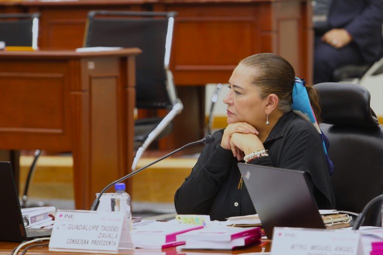 Guadalupe Taddei Zavala, Consejera Presidenta.